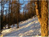 Planina Zajavornik - Debeli vrh nad Lipanco